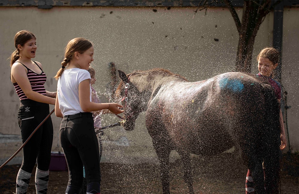 Reitschule Klein Berlin Lehrgänge