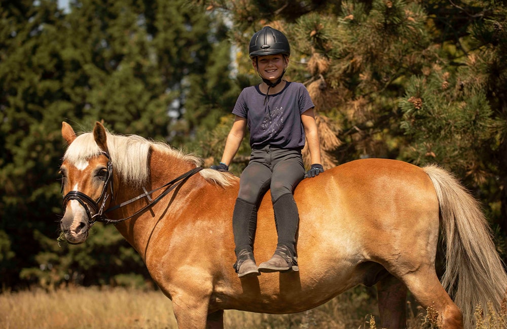 Reitschule-Klein-Berlin-Reitunterricht-Reiten-lernen-Reitstunde-Pferde-Kinderreiten-Ponyreiten-2-min